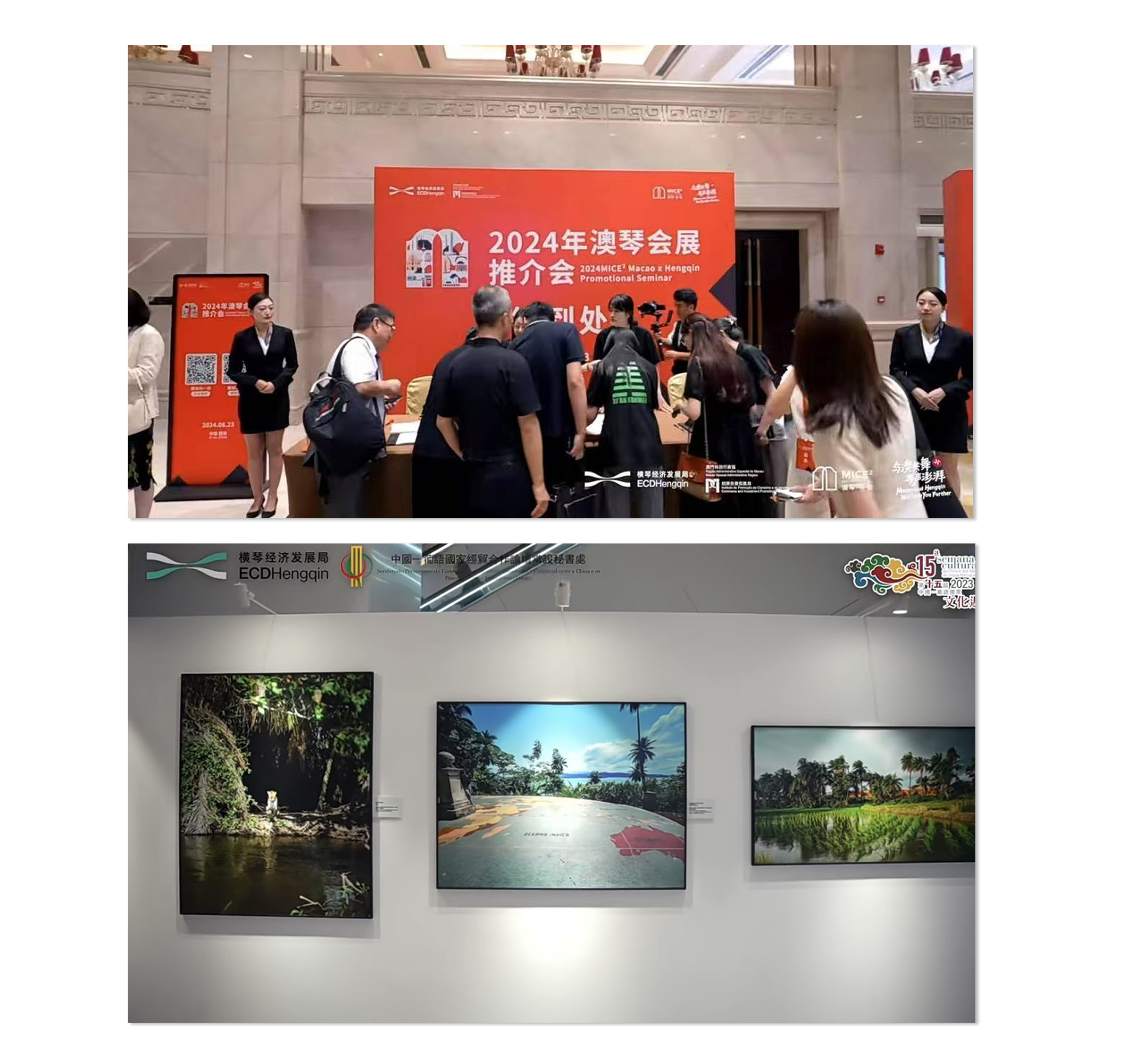 37373515.jpg 澳琴会展6.jpg