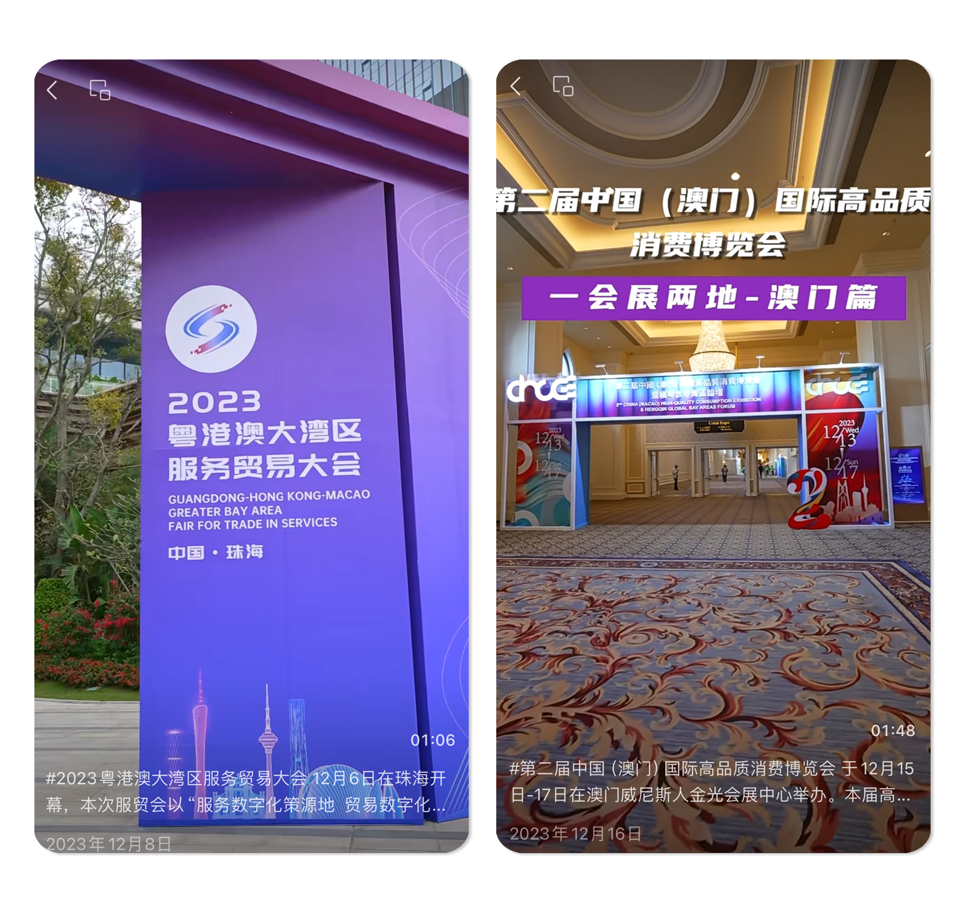 62105368.jpg 澳琴会展1.jpg